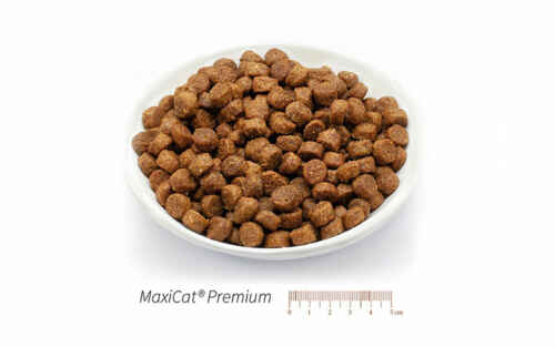 MaxiCat Premium